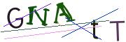 CAPTCHA visuel